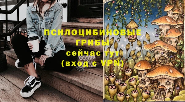 прущие крисы Ладушкин