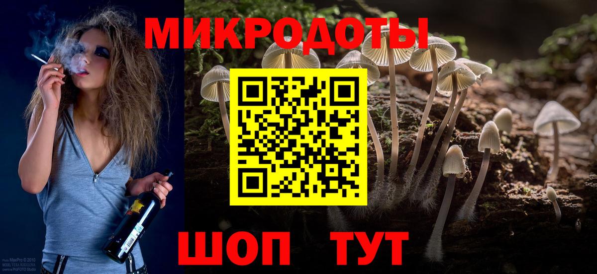 Спасск-Дальний  Галлюциногенные грибы Psilocybine cubensis  Вход с VPN 